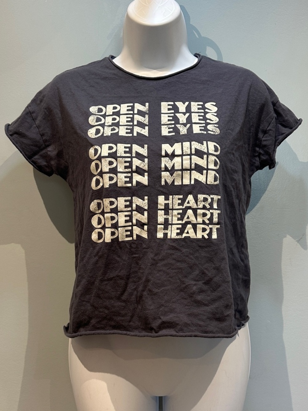 Grayson Threads Dark Grey Cropped Graphic Tee 'Open Eyes Open Mind Open Heart'